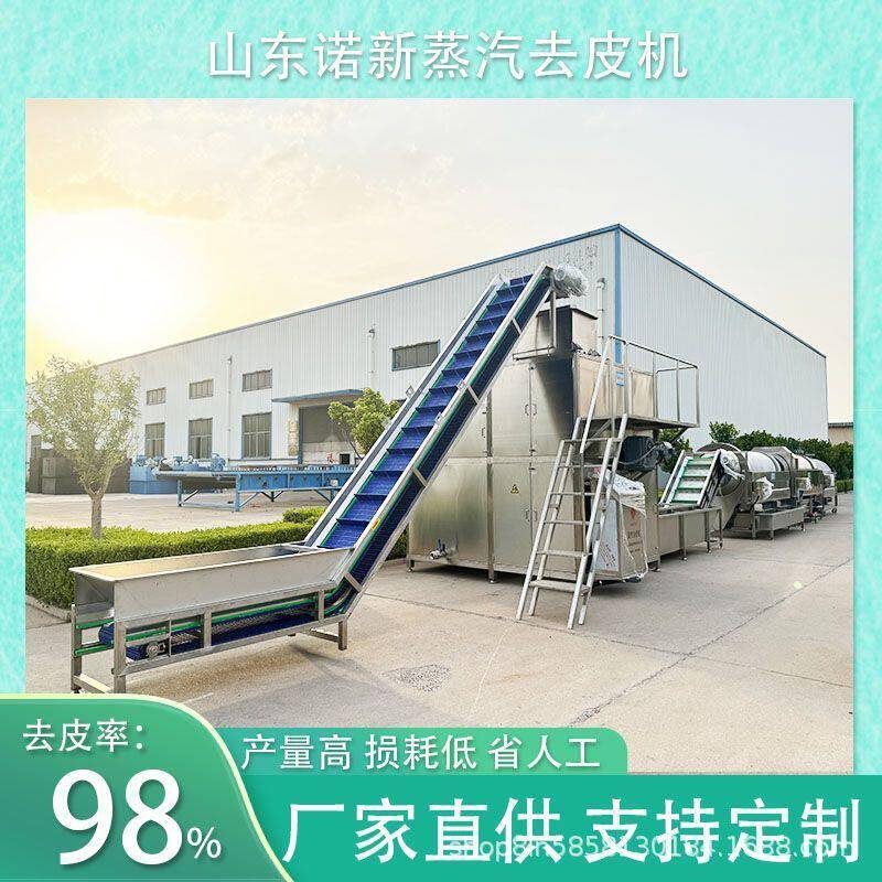 诺新 定制苹果去皮设备 芋头蒸汽去皮机 苹果丁加工流水线设备