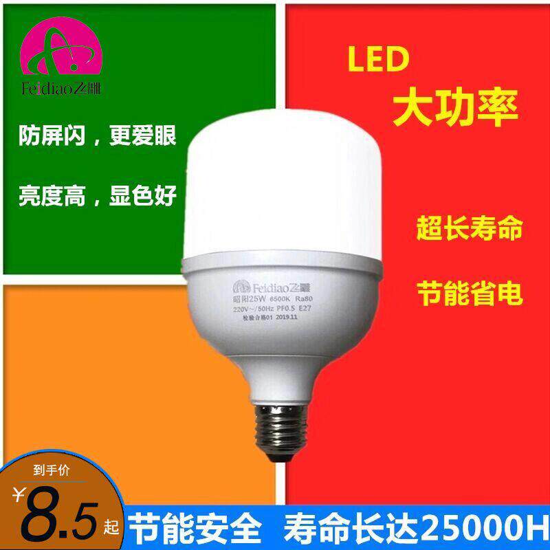 飞雕LED照明球泡E27灯座大螺纹口节能超亮高色温长寿命白光灯泡