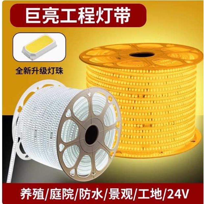 LED5050低压12V60灯套管软灯带户外灯箱广告牌灯光装饰单色光源