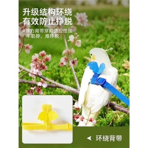 鹦鹉牵引绳外出放飞绳户外遛鸟神器玄凤牡丹超轻不伤脚背带小鸟芰