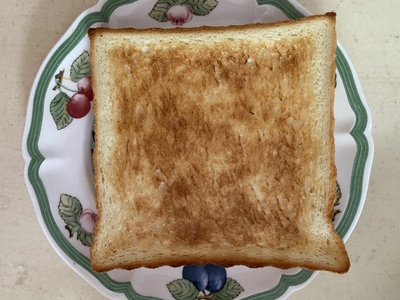 BALMUDA巴慕达烤箱怎么样老实讲一讲评测感受