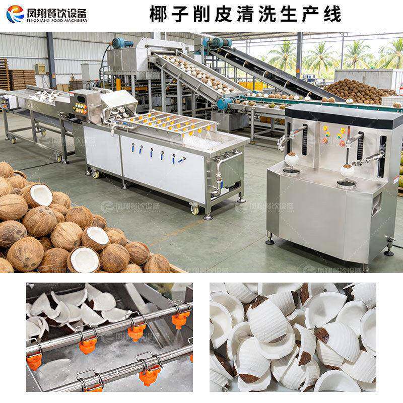 工厂直营全自动老椰子削皮清洗加工生产线椰子肉清洗设备