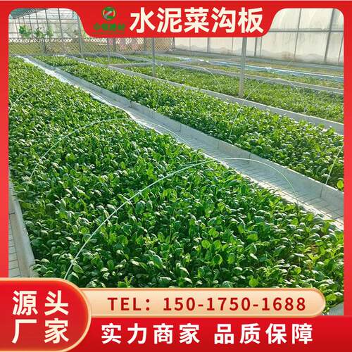 地沟 菜LKL园铺板 路板预制钢筋混凝土菜沟板 菜地沿路菜板厂家直