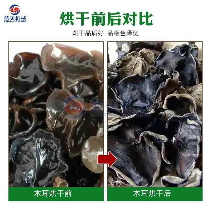 干连续式东北黑木白耳烘干LT-HME 空气能木耳小碗机耳燥机 云耳烘