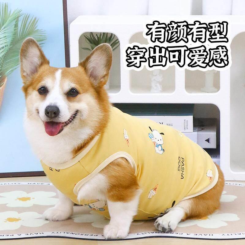 宠物狗狗衣服防掉毛可爱春秋款柯基柴犬狗背心2025新款中型犬夏季