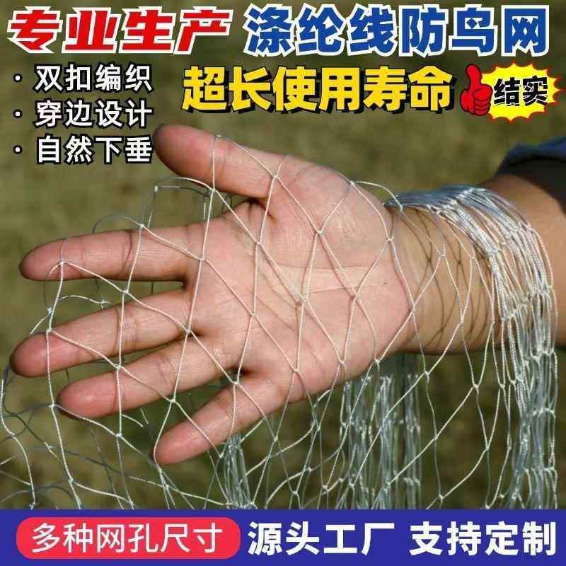 新款聚酯纤维防鸟网尼龙多股覆丝防鸟罩果树菜地大棚葡萄鱼塘天网