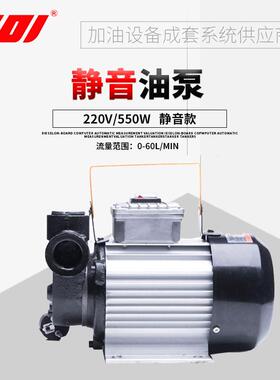 CDI 220V大功率柴油煤油抽油泵 550W功率油泵 加油配件