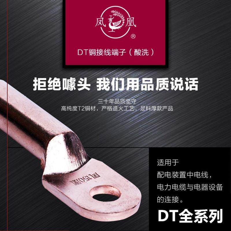 凤凰铜接线 线端子DT-10 16 25 35 50 70 95 120 150国标堵油式电,电子/电工,接线端子,淘宝优惠券,粉丝福利购,淘宝优惠卷