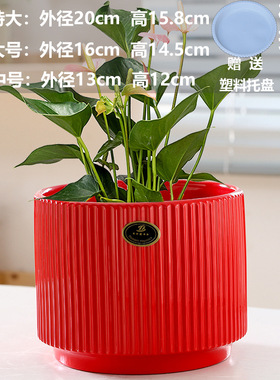 蝴蝶兰亚马逊批发直销陶瓷花瓶