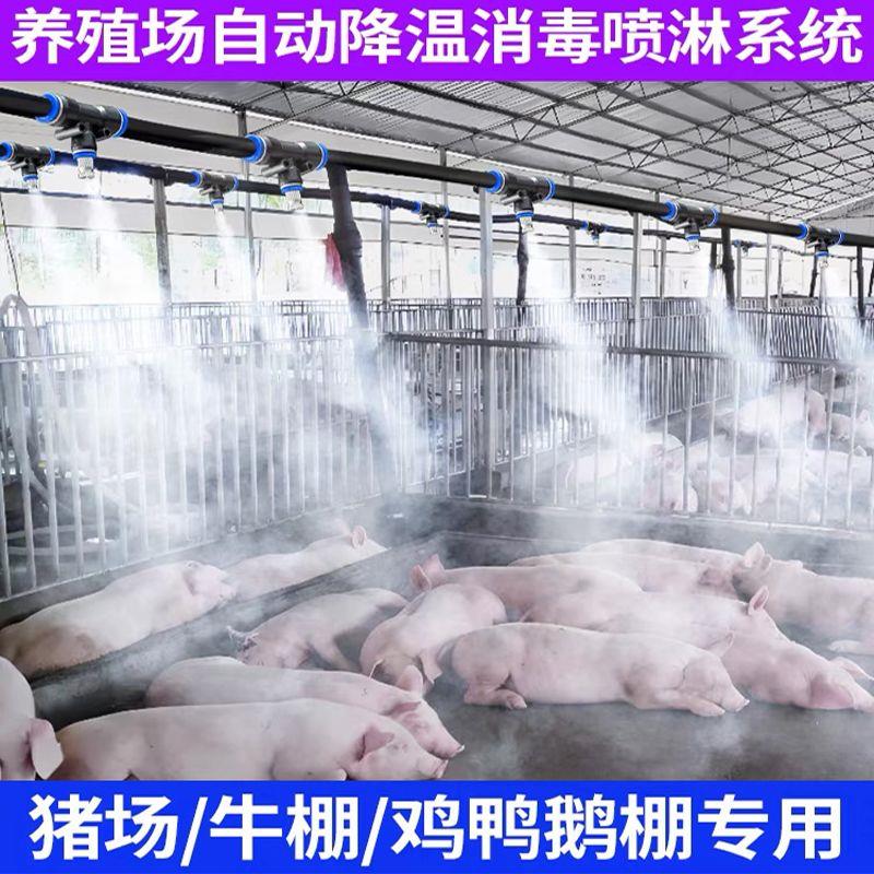 自动喷淋喷雾系统工地养殖场除尘降温加湿消毒万向雾化喷头浇花器