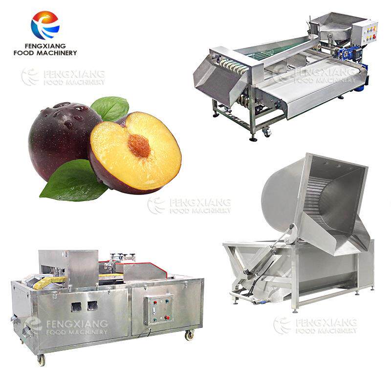 工厂直营果蔬加工设备水果加工整套设备果蔬去核机清洗