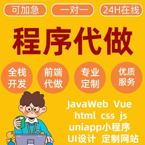 Java程序vue前端开发web网页设计html代做定制UI设计前端问题解决