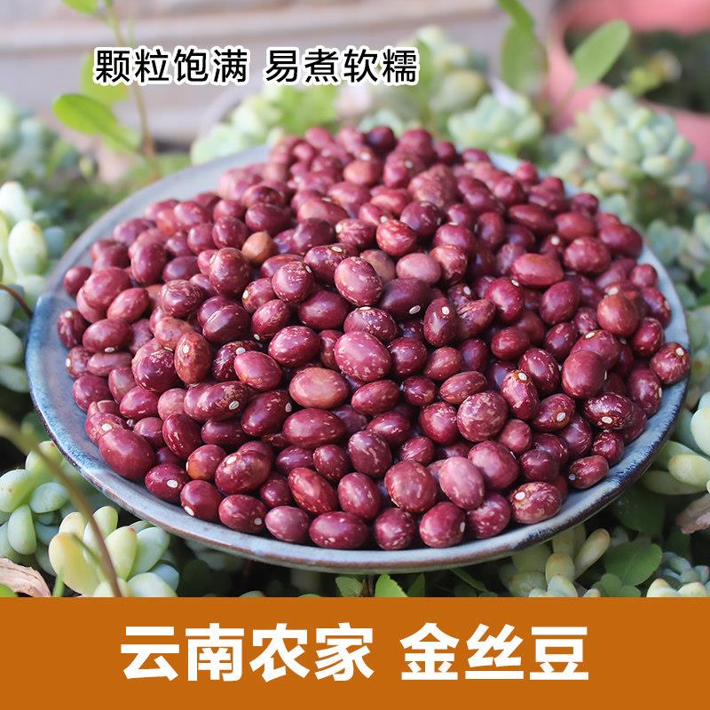 新货金丝豆1000g 云南农家自产红芸豆 饭豆芙蓉豆食用豆五谷杂粮