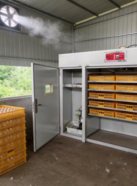 孵蛋器双室大中小型家用鸡鸭鹅蛋侧吹风孵化机两室孵化器孵化器