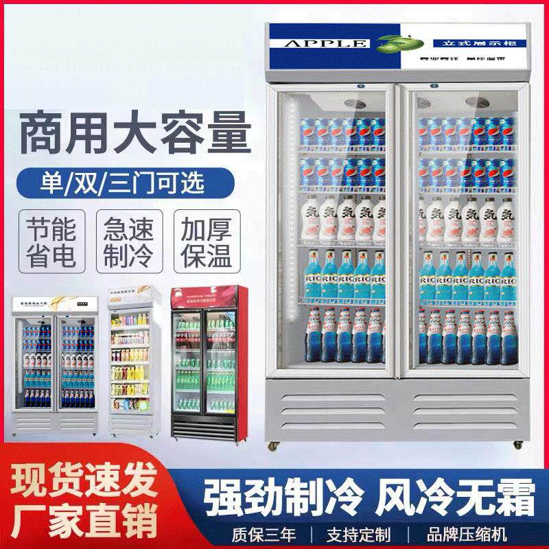 饮料啤酒展示柜商用冷藏保鲜柜蔬菜水果立式冰柜便利店单双门冰箱