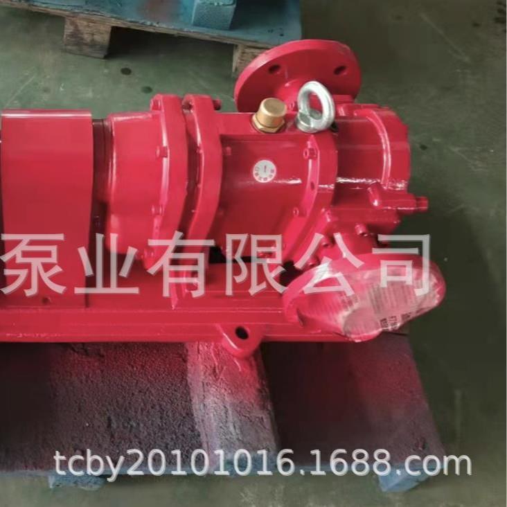 2205橡胶转子泵TDXJ 海水 污水 污泥 粪便 稠油 柴油 机油转子泵 - 实物图