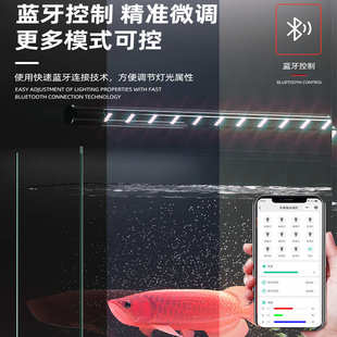 鱼缸灯雷龙鱼专用灯吉罗灯日光发色灯LED龙鱼灯金鱼增艳增色照明