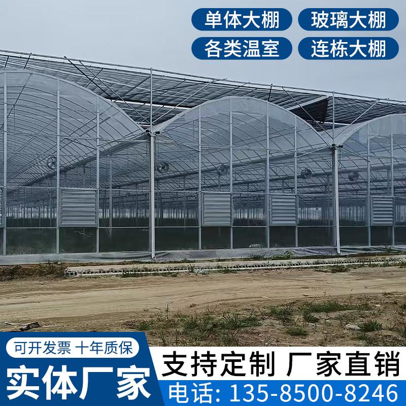 外遮阳连体连栋大棚玻璃温室大棚单体简易棚配件大棚骨架厂家直销