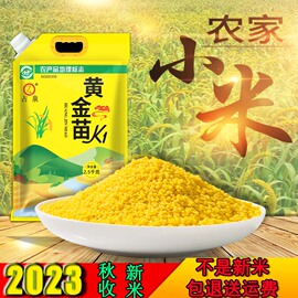 2023年秋收黄金苗(黄金苗)k1东北朝阳朱碌科食品，月子米黄小米新米粥(新米粥)5斤装