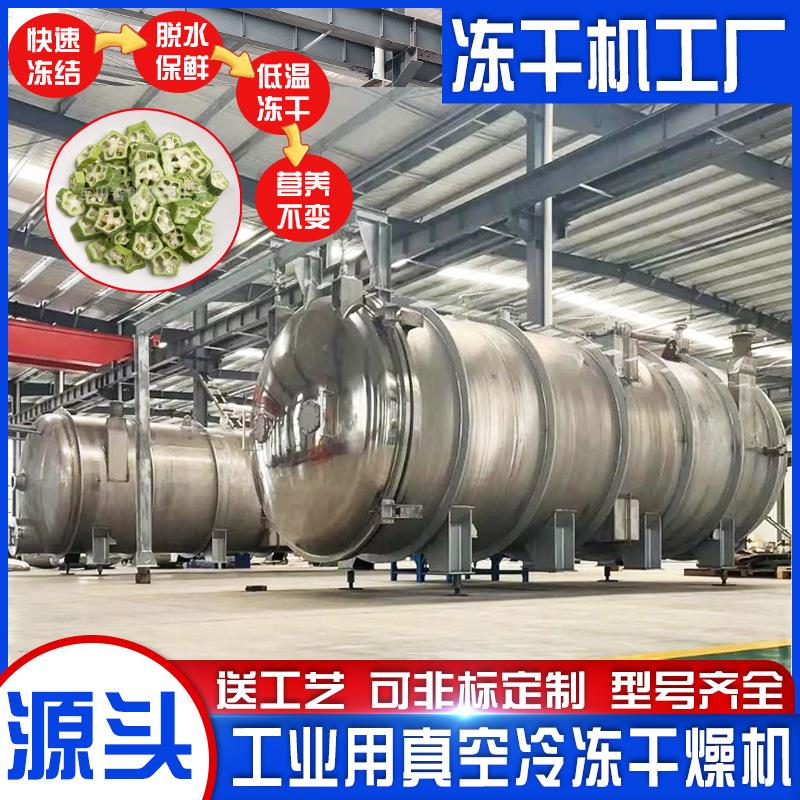 冻干蔬菜设备中大型真空冷冻干燥机商用多功能食品冻干机