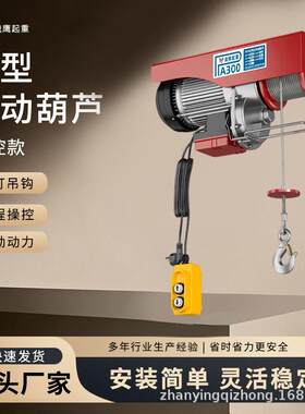 电动葫芦220V家用装修起重小吊机室外吊运上料升降微型电动葫芦