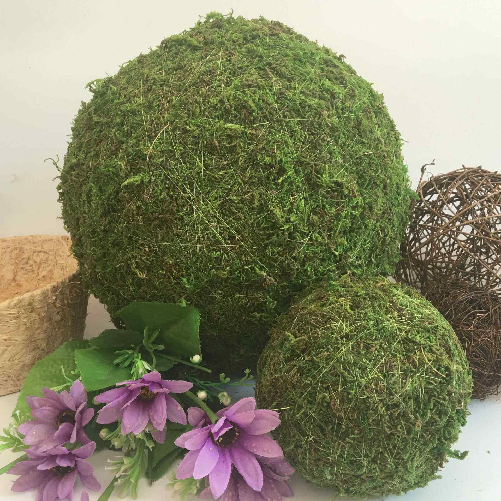 供应青苔球 出口日本欧洲园艺 苔藓花盆盆栽 草球 干花球 干花