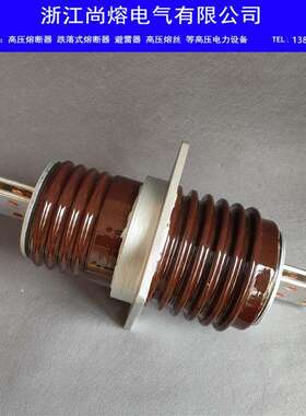 户外高压母线陶瓷穿墙套管CWB10-12KV/630A2000A2500A3150A4000A
