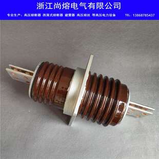 户外高压母线陶瓷穿墙套管CWB10 630A2000A2500A3150A4000A 12KV