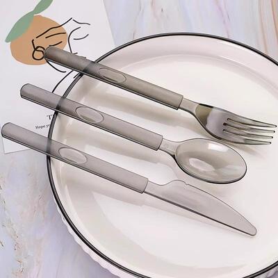 Disposable cutlery set for Western dining, including steak,