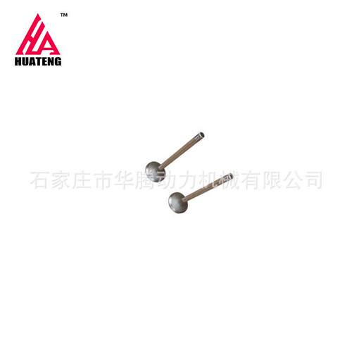 道依茨BFM1013进气门04255254 04283380排气门04255255 04283381