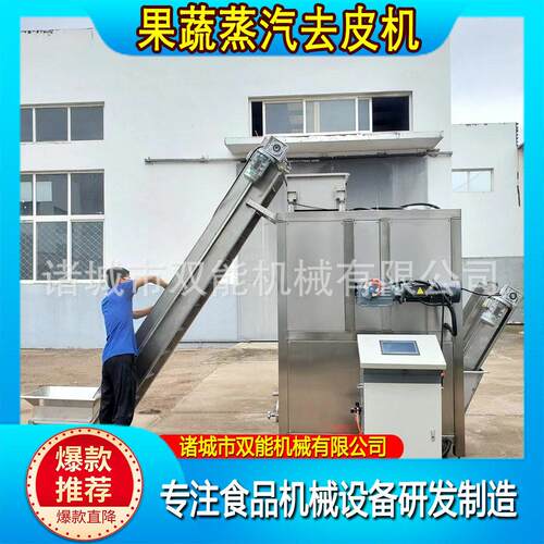 恩施小土豆蒸汽去皮机果蔬去泥清洗机马铃薯红薯全自动蒸汽去皮机