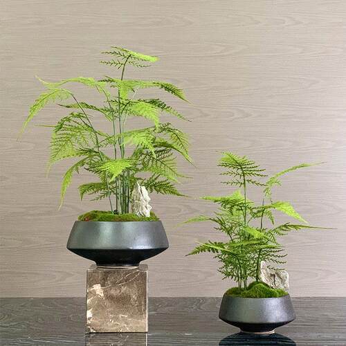 模拟绿色植物盆景新型中国风花卉模型房客厅售楼处入口植物芦笋盆