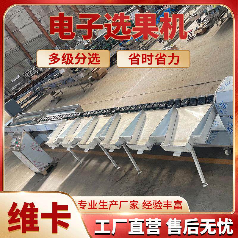 百香果大小分级机柠檬重量分级机精度高效率快山竹称重分拣机