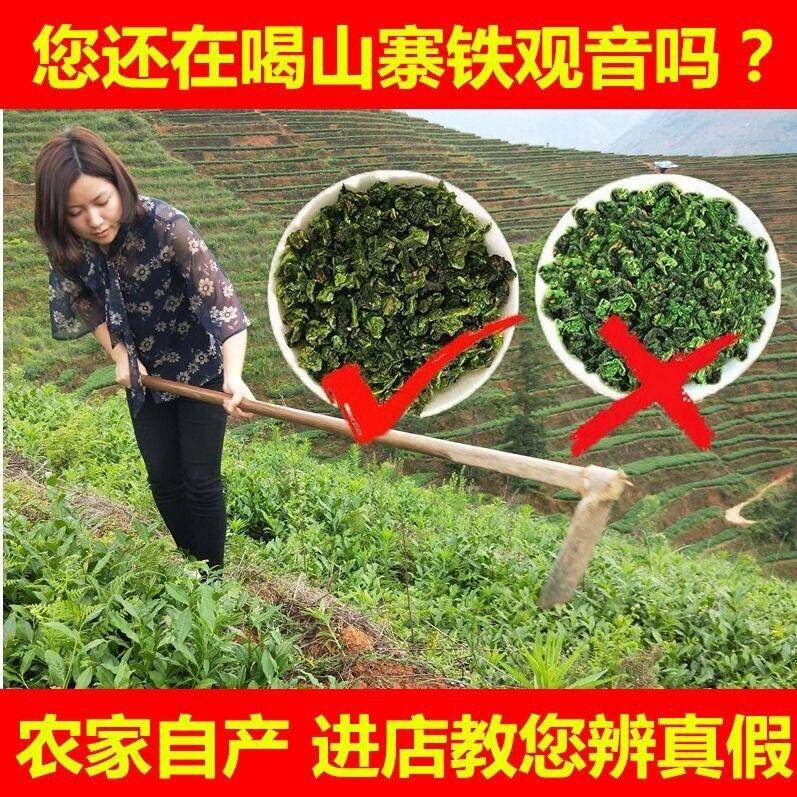 正宗新茶叶安溪铁观音秋茶散装清香型1725乌龙茶春茶浓香型兰花香