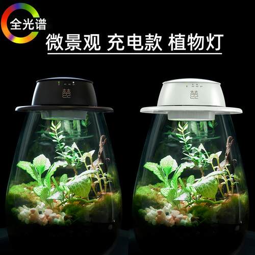 全光谱微景观植物补光灯彷太阳苔藓植物生长灯玻璃瓶生态瓶植物灯