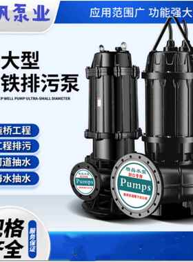 WQ型立式潜水污水泵 80WQ40-10-2.2 铸铁可配耦合装置 质保一年