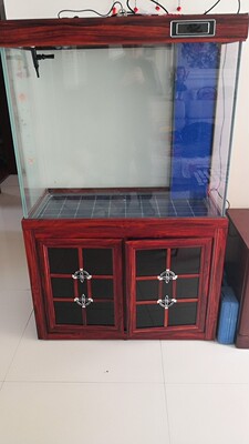 头条讨论欧宝鱼缸怎么样，口碑揭秘爆料真相