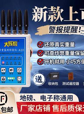 电子秤防控仪A10地磅称重防干扰卖粮防坑新款大辉灰狼HL2语音警报