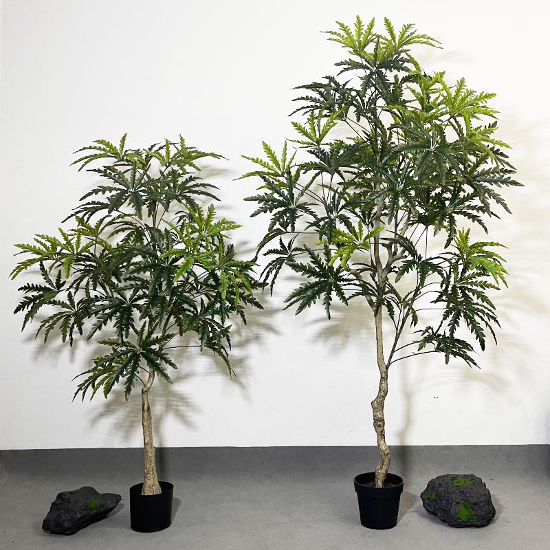 仿真孔雀木植物树家居装饰假植物落地绿植盆栽室内大型孔雀木绿植