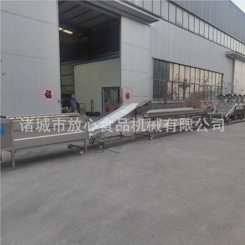 预制菜茎类类流线 根水茎蔬菜清洗设根备 毛辊清FX-600洗净菜流水