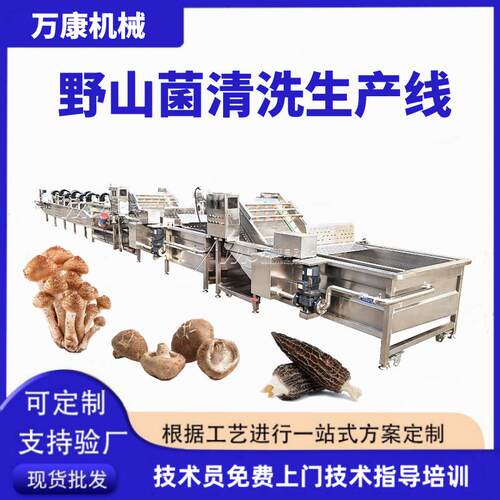 香菇气泡清洗机全自动菌菇蘑菇清洗加工设备野山菌去杂清洗机现货