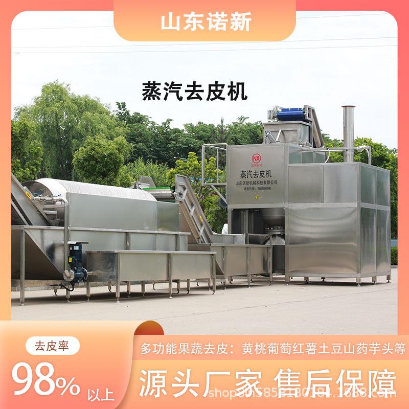 诺信科技胡萝卜全自动化剥皮机黄桃高温蒸汽去皮