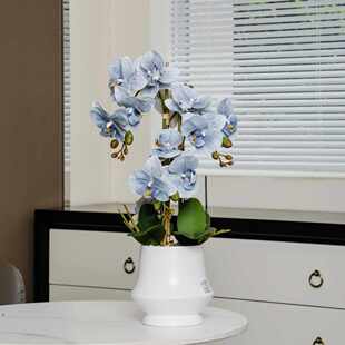 高级花盆盆栽装饰仿蝴蝶兰轻成品仿真陶瓷四方带花奢感真中古风