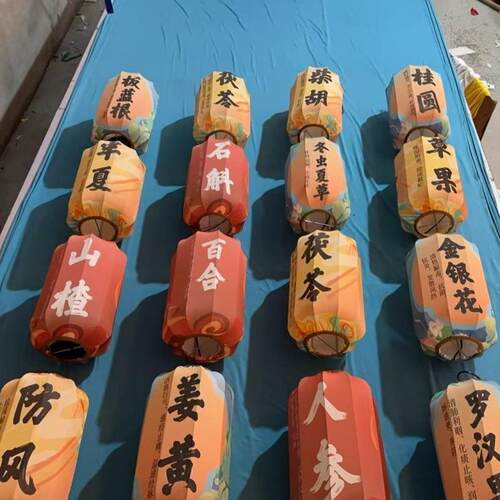 中式弹力布印字中药材诗词创意冬瓜吊灯景区街道装饰古风灯笼