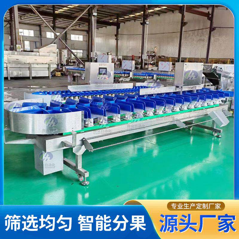 翻盘称重分选机小龙虾海参分拣机百香果火龙果重量分选机厂家