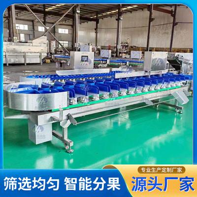 翻盘称重分选机小龙虾海参分拣机百香果火龙果重量分选机厂家
