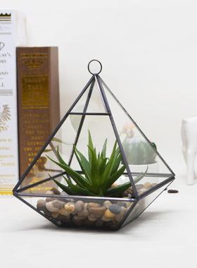 钻石形状玻璃摆饰花房多肉植物几何欧式花盆容器可订货