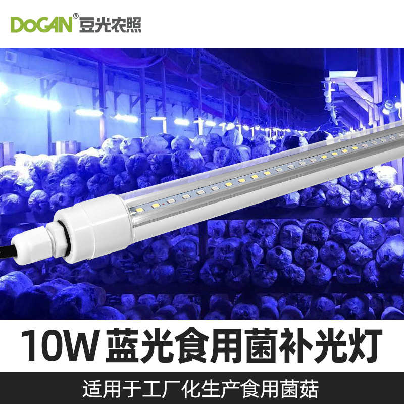 10Ｗ食用菌菇房补光灯LED蓝白光色仿太阳散射光220V圆形防水灯管