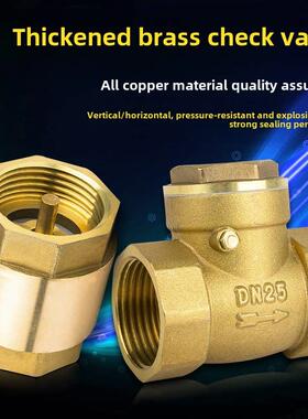 水平止回阀全铜单向阀止回阀4分钟6分钟1英寸Dn50 65 80 100