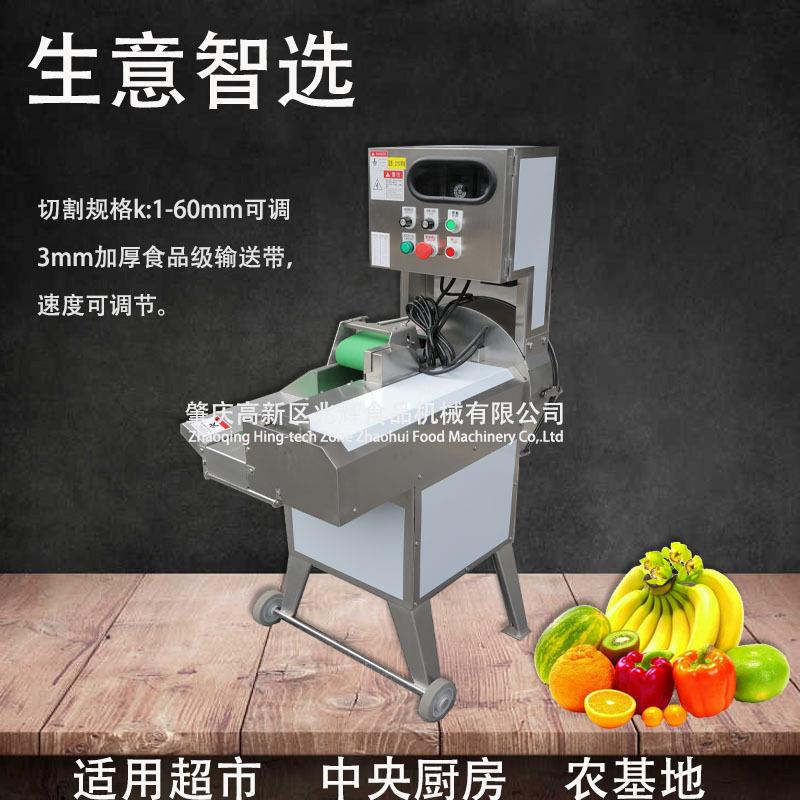 QXD变频调速丝切段设备可长度厚薄调节多功能包菜切白菜芹切菜菜